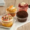 Wide View Image 4pc Jumbo Cupcake Favorites